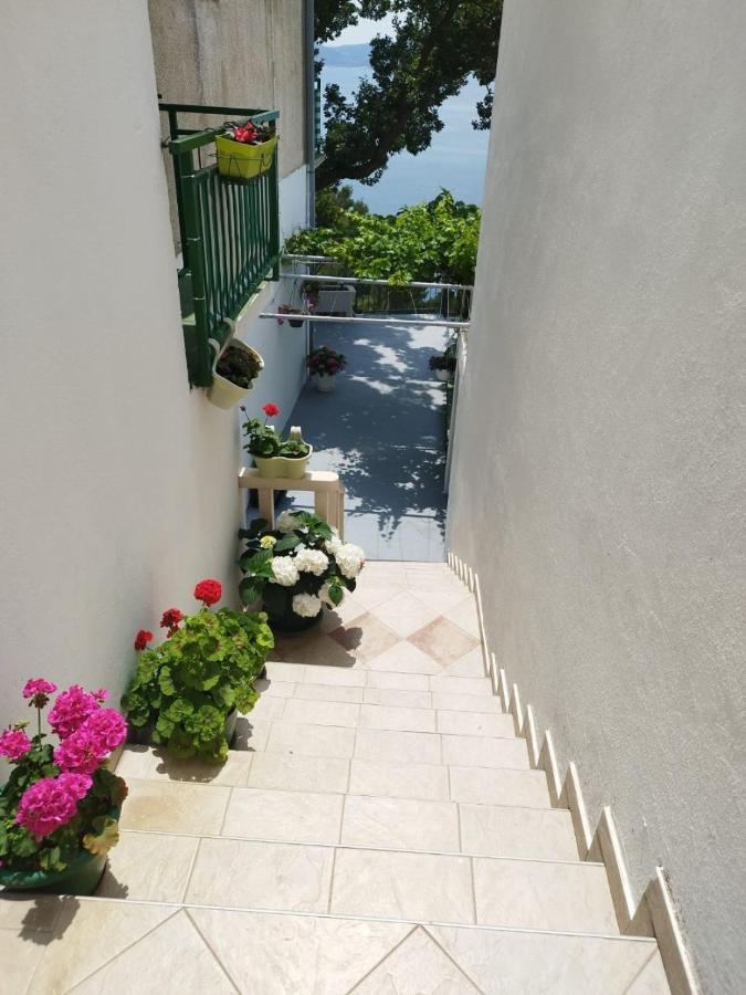 Apartments Mare - 150 M From Beach Brela Exteriér fotografie